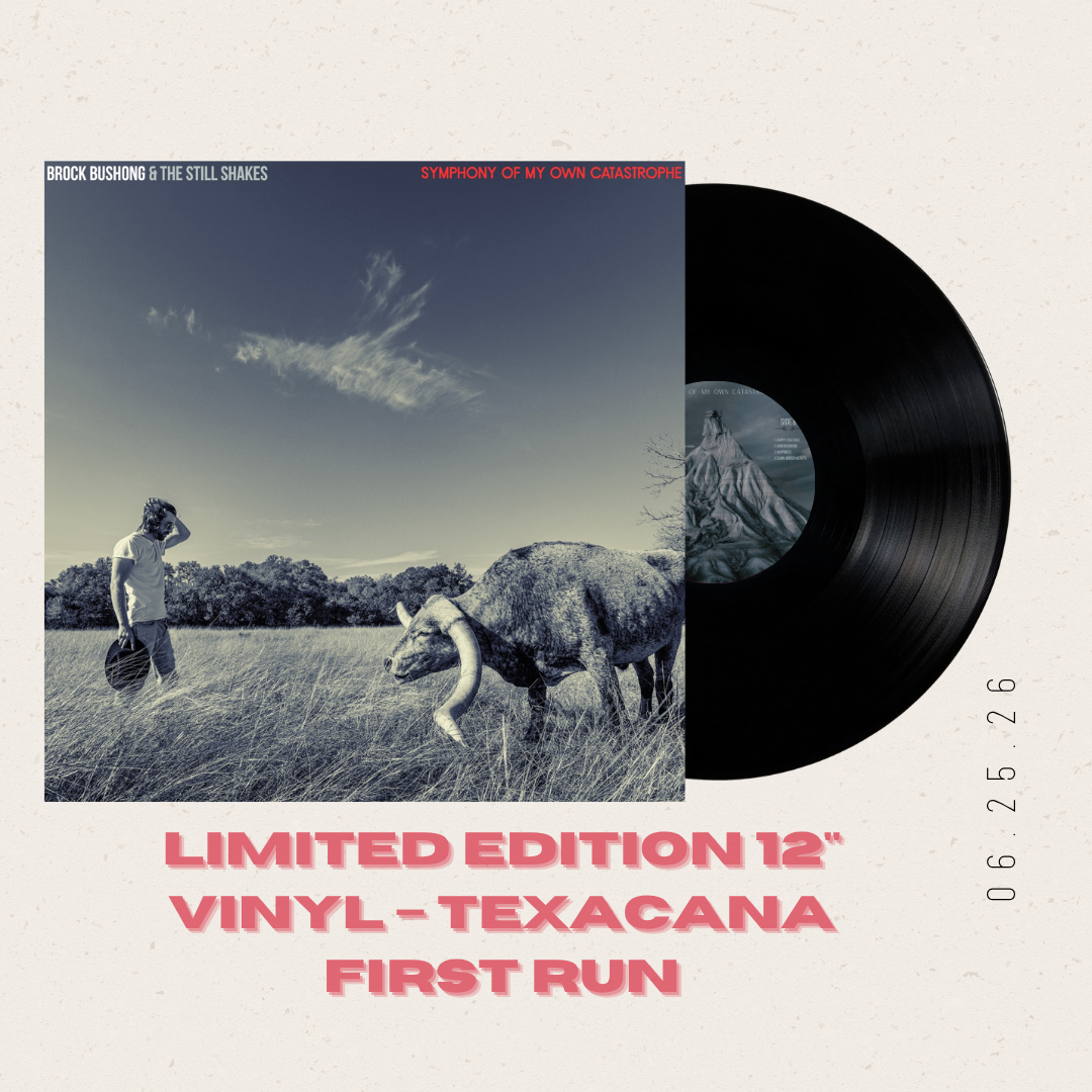 Symphony of My Own Catastrophe - Vinyl