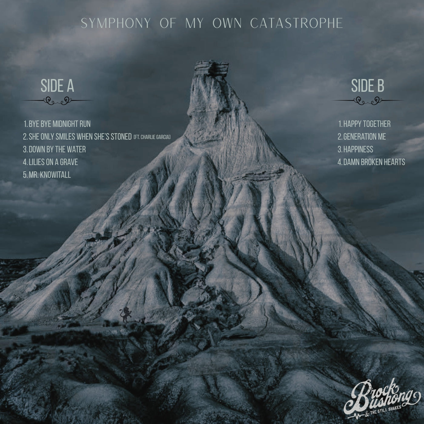 Symphony of My Own Catastrophe - Vinyl